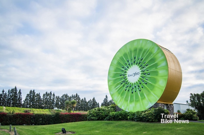 뉴질랜드 키위 테마공원인 '키위 360'에 세워진 태형 키위 모형안으로 들어가 관람할 수도 있다.(사진출처:말하는 홍차왕자 블로그)