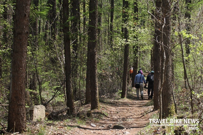 제천 청풍호 자드락길 제3코스인 '얼음골 생태길'의 숲길을 걸어가고 있는 탐방객들의 모습. 사진 / 조용식 기자
