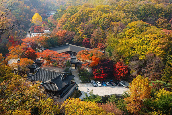 창덕궁은 도심 고궁 중에서 가을의 정취를 가장 잘 느낄 수 있는 곳으로 손꼽힌다. 사진/ 서울시