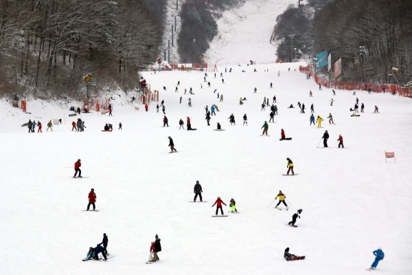 강원도에서는 우리나라 대표하는 스키장 8곳의 스키장이 있어 겨울 강원도 여행의 즐거움을 더하고 있다. 사진/ 강원도청