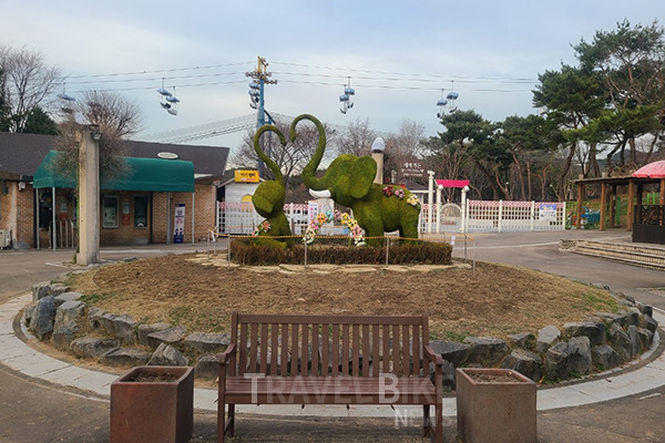 봄과 가을, 장미로 유명한 테마가든 입구에는 커다란 코끼리 모습의 토피어리를 제작하였다. 사진/ 서울대공원