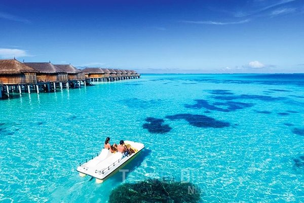 신혼여행 부분은 태고적 아름다움을 간직한 환상적인 휴양지인 인도양의 섬나라 몰디브가 2위에 올랐다. 사진/ 허니문리조트
