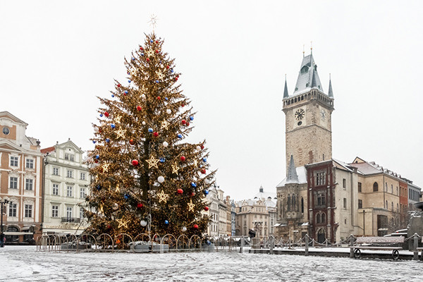 프라하는 코로나19의 확산을 막기 위해서 매년 열렸던 크리스마스 마켓을 포기하기로 했다. 그렇지만, 구시가지 광장에 흰색, 빨간색과 파란색의 체코 국가 색상으로 아름답게 장식된 멋진 크리스마스트리를 선보였다. 사진/ 체코관광청