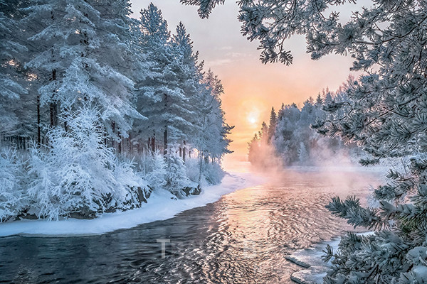 자연의 아름다움을 오롯이 누릴 수 있는 겨울왕국 핀란드는 국토의 75%가 숲으로 덮여 있으며 180,000개 이상의 호수가 있다. 사진/ 핀란드관광청