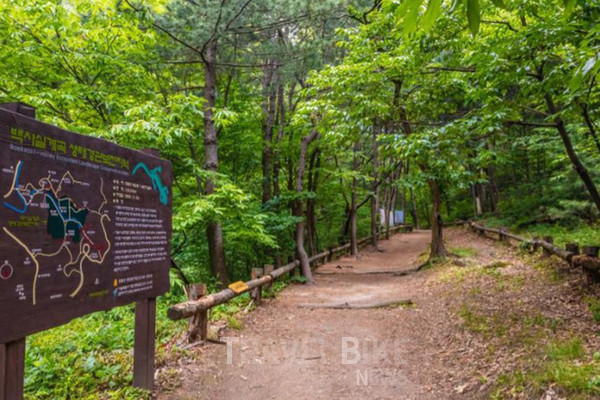 북악산에 위치한 백사실계곡은 서울에서 보기 드물게 흐르는 물이 깨끗하고 주변 숲 또한 잘 보존되어 있는 곳이다. 사진/ 서울시