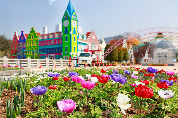 서울랜드에서 봄 축제 ‘스프링 카니발 2022’이 열리고 있다. 오는 6월 6일까지 열리는 축제의 대표 볼거리는 봄꽃이다. 로맨틱 가든에서는 튤립과 벚꽃 등 색색의 꽃을 즐길 수 있다. 사진/ 서울랜드