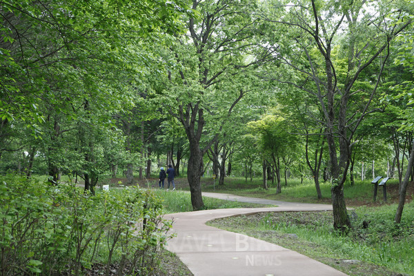 숨은 자연 공간 경안천습지생태공원도 거닐 만하다. 사진/한국관광공사