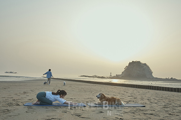꽃지해수욕장은 ‘반려동물과 함께 즐기는 해수욕장’으로 콘셉트를 잡았다. 버스를 타고 반려견과 함께 해수욕장에서 요가를 체험하고, 반려동물과 함께 패들보드도 타볼 수 있도록 하였다. 사진/태안군