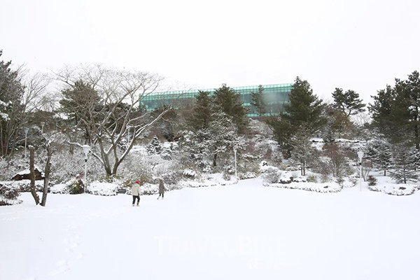 프리미엄 헬스리조트 ‘위호텔제주’에서는 여유롭게 혼자만의 힐링 여행을 즐기는 나홀로 여행객을 위한 맞춤형 패키지로 ‘나홀로 패키지’를 준비했다. 사진/위(WE)호텔제주