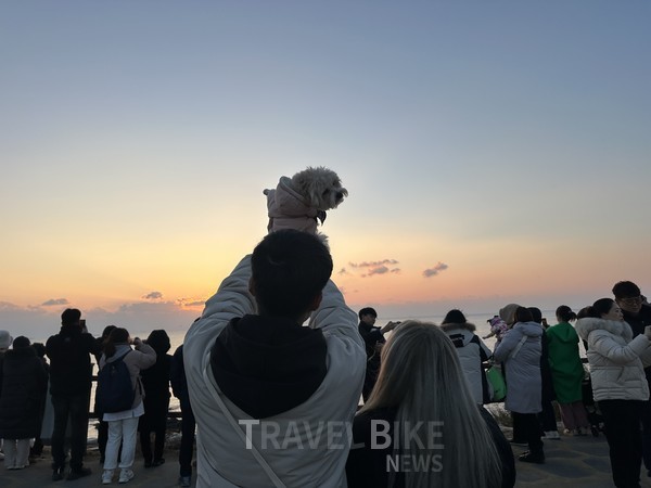 문화체육관광부와 한국관광공사는 오는 2월 20일까지 ‘2024 반려동물 친화관광도시’ 공모를 실시한다. 사진/한국관광공사