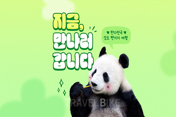 하나투어가 대한민국을 뒤흔든 판다 팬심을 저격하는 중국 판다 기지 관람 여행 상품 ‘성도 팬키지’를 출시했다. 사진/하나투어