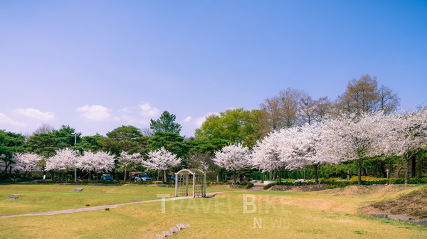 약 3만 평이라는 넓은 대지에 자리한 메이필드호텔은 아름다운 자연경관과 다채로운 수목과 꽃들로 봄이 되면 많은 사람들이 찾는 명소다. 사진/메이필드호텔 서울