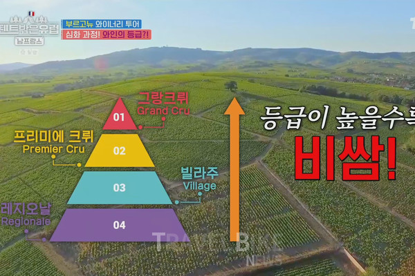와이너리 사장은 “가장 낮은 가격부터 가장 높은 가격을 가진 와인의 분류”라며 부르고뉴 와인에는 등급을 나눈다고 설명했다. 사진/ tvN 텐트 밖은 유럽 캡처