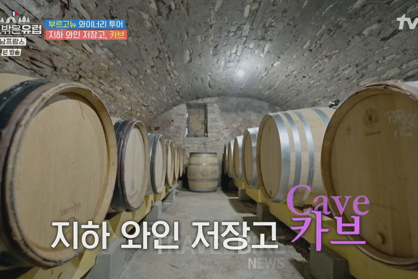 양조장은 생각보다 넓었고, 심지어 지하 저장고도 있었다. 사진/ tvN 텐트 밖은 유럽 캡처
