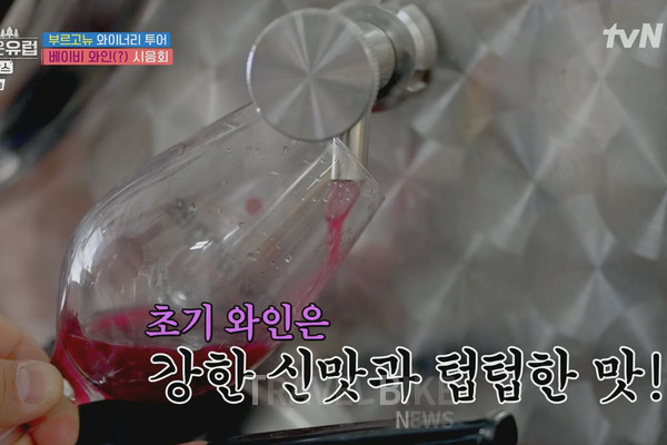 숙성이 거의 안 된 와인은 탁한 자주색을 띠고 있었으며 맛은 신맛이 강했다. 사진/ tvN 텐트 밖은 유럽 캡처