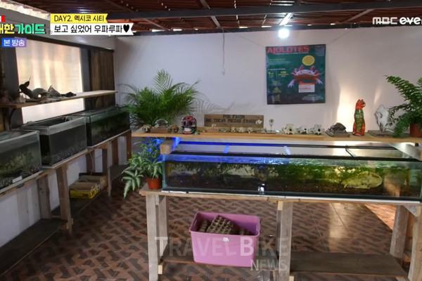 식사를 마치고 식당 2층으로 올라갔는데 2층에는 ‘우파루파 보호소’가 있었다. 사진/ MBC every1 위대한 가이드 캡처