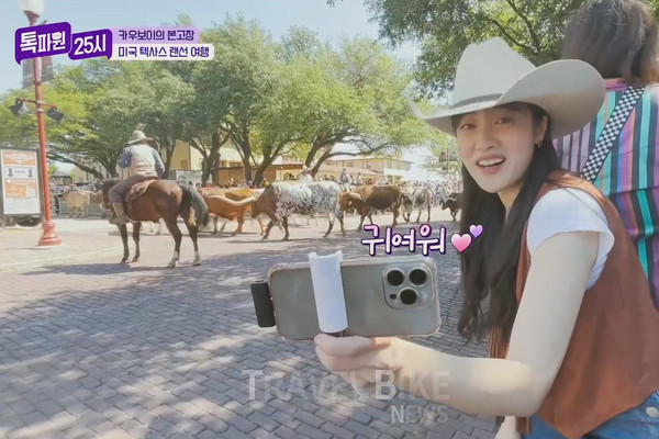 캐틀 드라이브는 카우보이의 소몰이 장면을 재연한 퍼레이드이며, 매일 두 번씩 열리고 유일하게 포트워스에서만 볼 수 있다. 사진/ JTBC 톡파원 25시 캡처