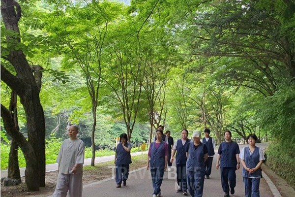 가족 나들이를 기획하고 있다면 ‘백양사 친환경 템플스테이 ‘비자림’에 주목해 보자. 사진/템플스테이