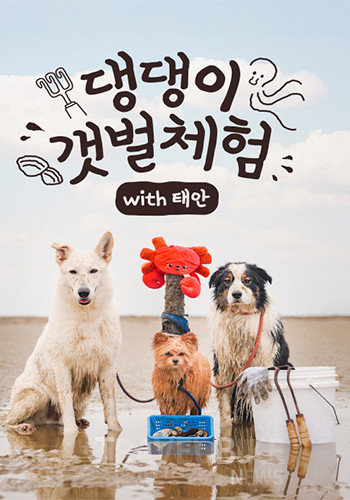 충청남도 태안군이 ‘2025 태안 방문의 해’를 맞아 반려동물과 함께하는 특별한 체험 프로그램을 선보인다. 사진/태안군