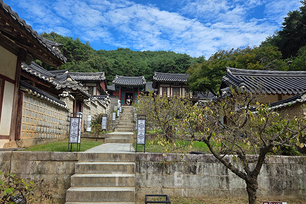 안동은 하회마을과 봉정사, 도산·병산서원, 한국국학진흥원의 유교책판, 하회별신굿탈놀이까지, 유네스코 세계유산 3대 분야를 모두 보유한 국내 유일의 도시다. 사진/김효설 기자