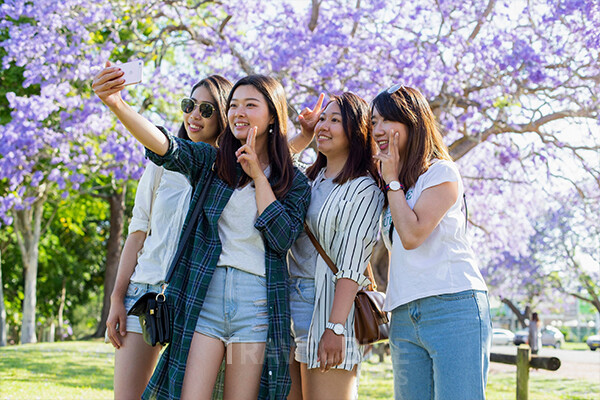 ‘그라프턴 자카란다 페스티벌(Grafton Jacaranda Festival)’은 호주에서 가장 오래된 꽃 축제로, 올해도 10월 말부터 11월 초까지 열릴 예정이다. 사진/호주뉴사우스웨일즈주관광청