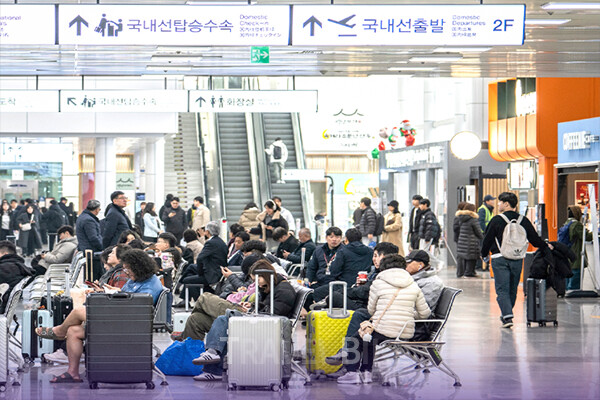 지방 공항을 통한 입국자는 전년 대비 약 50% 증가했고, 지방 항만을 통한 입국도 증가세를 유지하고 있다. 사진/청주공항